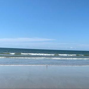 Meet your Posher, Max